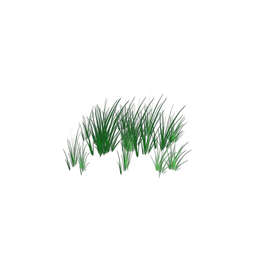 High Grass x 18